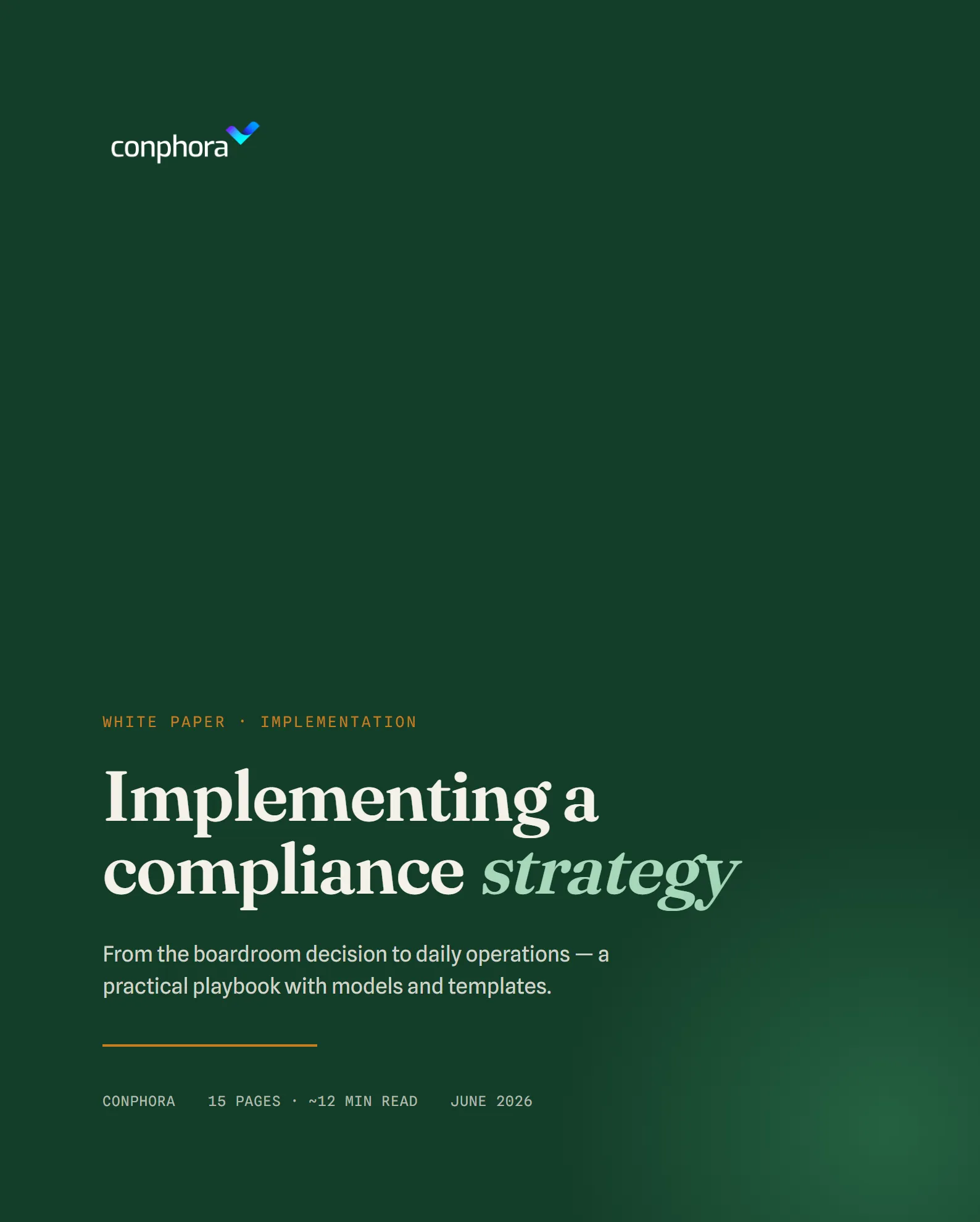 Cover of Implementing a compliance strategy
