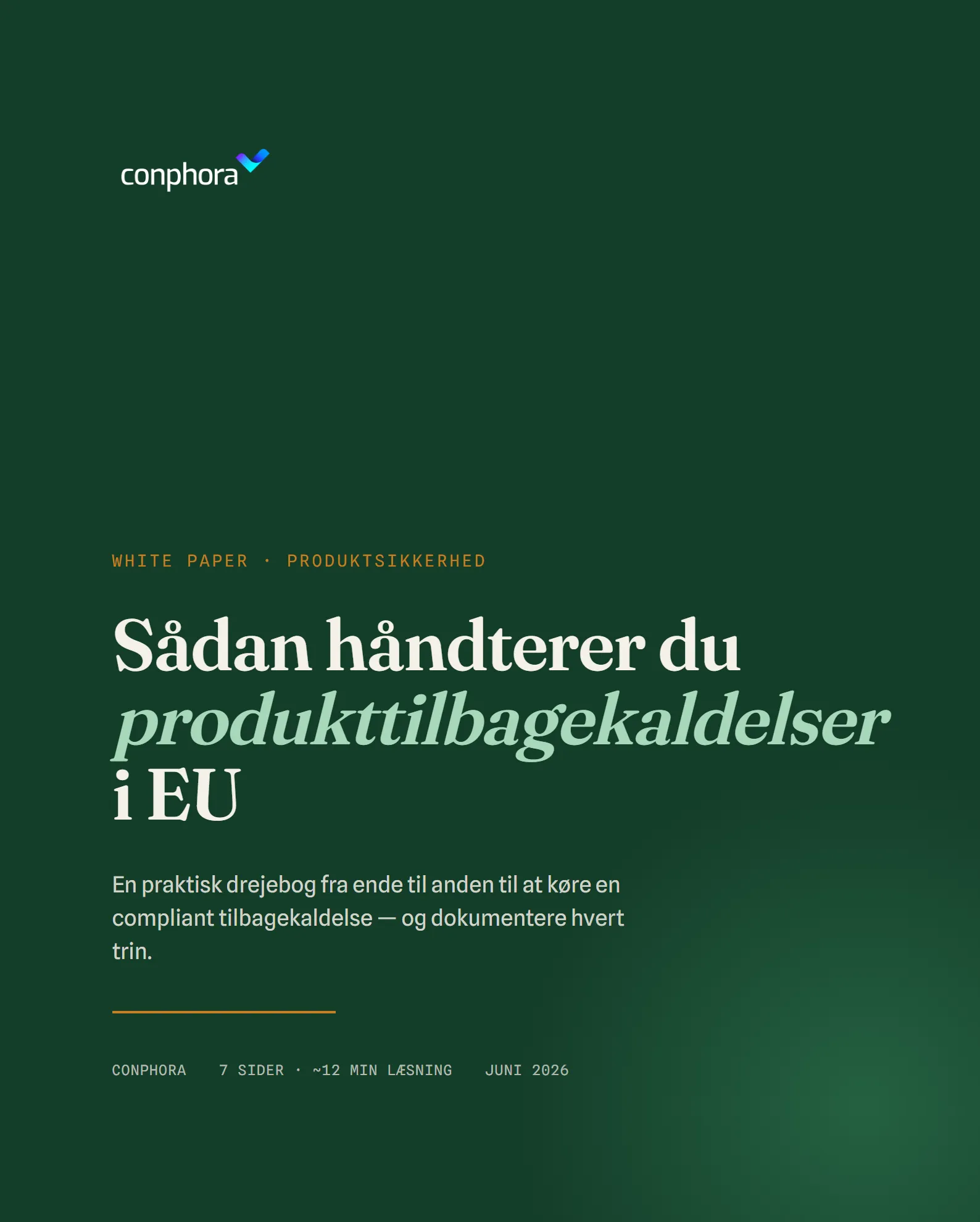 Forside af Sådan håndterer du produkttilbagekaldelser i EU