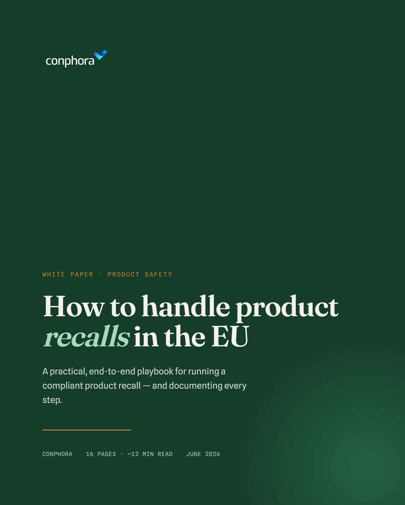 Cover of How to handle product recalls in the EU